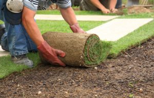 turf laying